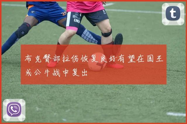 布克臀部拉伤恢复良好有望在国王或公牛战中复出