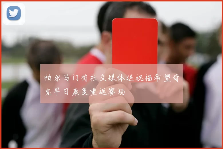 帕尔马门将社交媒体送祝福希望奇克早日康复重返赛场