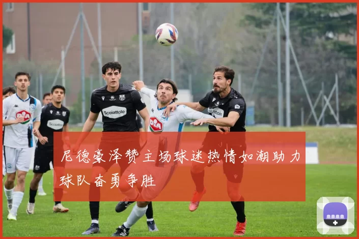 尼德豪泽赞主场球迷热情如潮助力球队奋勇争胜
